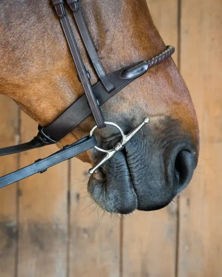 336_5ebddc6b72-fullcheek_sweet_iron-1-full.webp