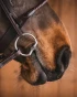 191_127568fc28-sweet_iron_fixed_rings-full.webp