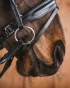 22_d85eda1c04-bridoon_loose_rings_titan1355-full.webp