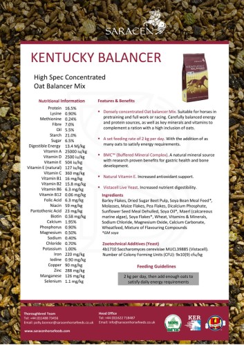 saracen-kentucky-balancer-20kg.jpeg