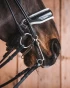 22_10d970fa44-weymouth_bridoon_titan1356-full.webp