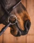 8_8c07e201c9-loose-rings-sweet-iron1340-full.webp