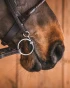 43_7489c396f8-loose_baucher_titan1336-full.webp
