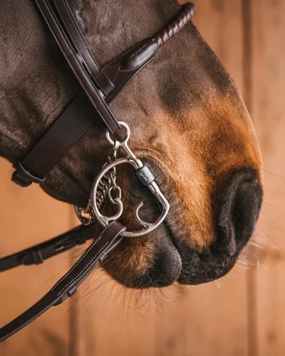 44_bc7e760d77-kimblehook_titan1329-full.webp