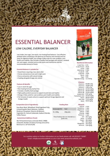 saracen-essential-balancer-20kg-niskokaloryczny-koncentrat-dla-koni (1).jpeg