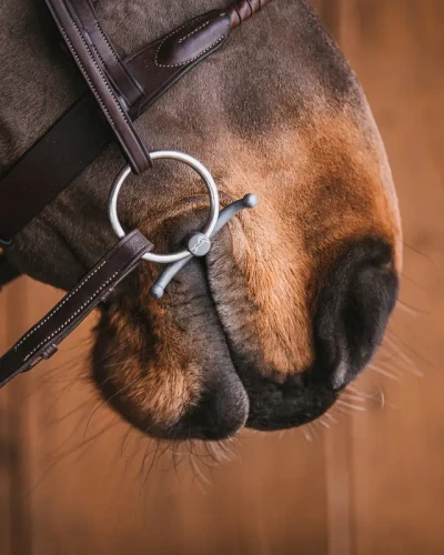 107_7e2f52954b-babyfulmer_titan1289-full.webp