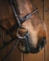 174_96e54fe132-fixed_rings_blue_titanium-full.webp