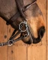 110_3b1a00ad75-show-pelhalm-sweetiron-31079-full.webp