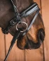 137_118cd214cb-bridoon_loose_ring_sweet_iron-full.webp
