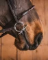 96_bdb622a060-babyfulmer_sweet_iron-full.webp