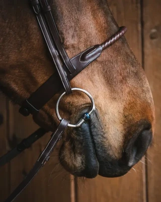 83_50a6fd80ad-fixed_rings_blue_titanium-full.webp