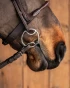 29_36cff6de89-beval-sweetiron-4244-full.webp
