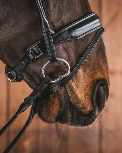 25_eac63694a2-bridoon_sweet_iron_fixed_rings-full.webp