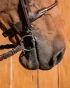 17_01c2917bc5-baucher-titan-full.webp