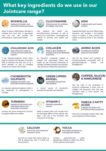 ingredients_all_1024x1024.webp