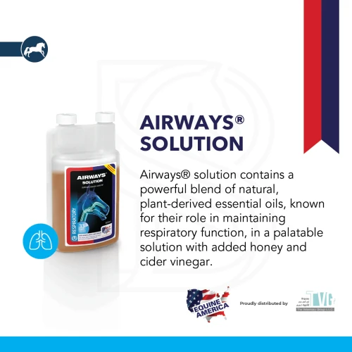Airwaysfeed_1024x1024@2x.webp