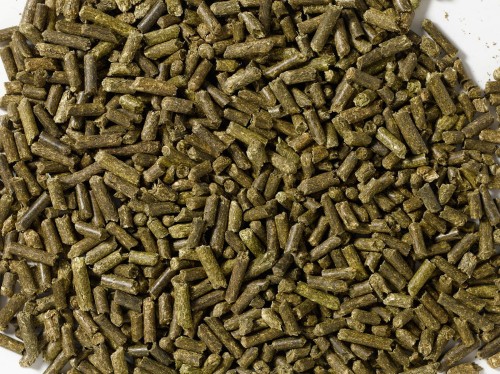 saracen-alfalfa-pellets-20kg-granulowana-lucerna-dla-koni (1).jpg