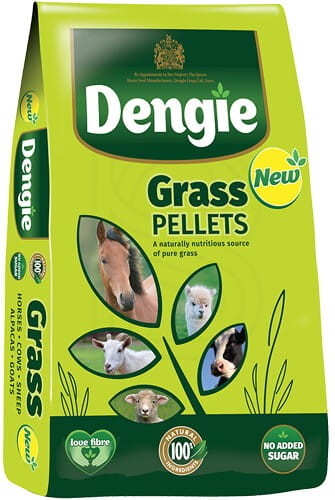 dengie-grass-pellets-20kg-trawokulki-dla-koni.jpeg