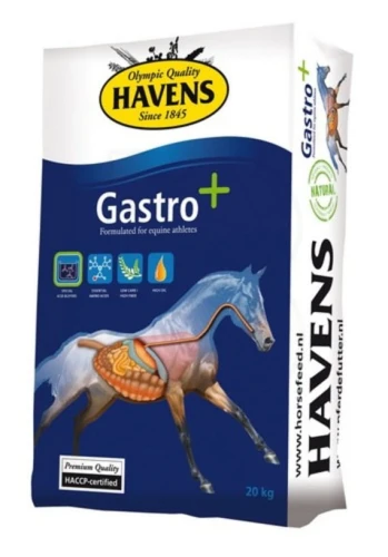 gastro-bag-small.jpg