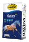 gastro-bag-small.jpg