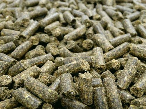 gastro-cubes-close-up.jpg
