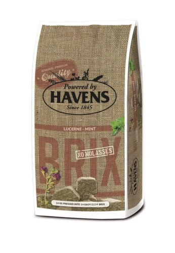 havens-brix-zak_-kleiner.jpg