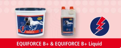 HAVENS-EQUIFORCE-B-Liquid-LV-209037.webp