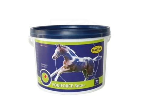 equiforce-beta-klein.jpg