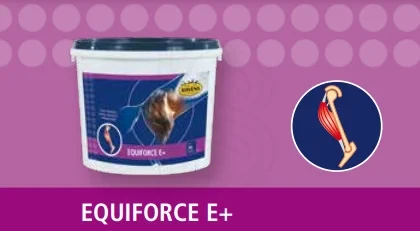 HAVENS-EQUIFORCE-E-LV-207924M.webp