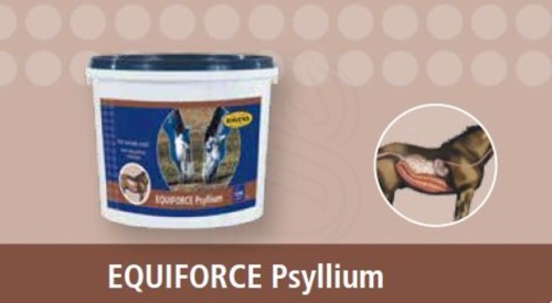 equiforce-psyllium.jpeg