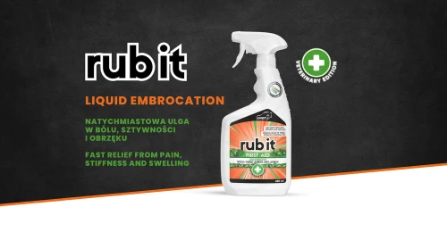 Rubit_HEAD_2025.jpg