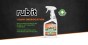 Rubit_HEAD_2025.jpg